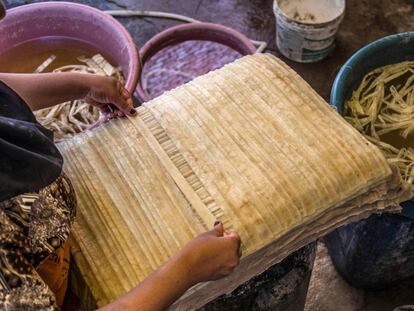 Mantener vivo el papiro en Egipto, pese a la pandemia