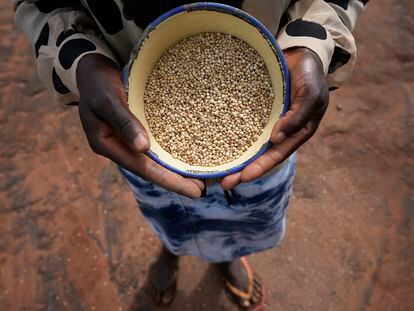 Maria Chagwena, una agricultora de Zimbabue, muestra un cuenco con granos de mijo en el distrito de Rushinga, al noreste de Harare, capital del país, en enero de 2023