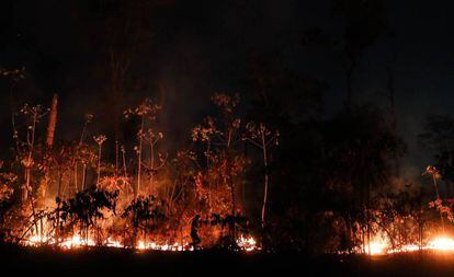 Amazonía brasileña perdió en agosto 1.698 kilómetros cuadrados de su cobertura vegetal por cuenta de las quemadas.