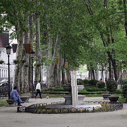 El actual bulevar del paseo del Prado, con la arboleda objeto de la polémica urbana.