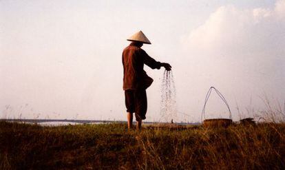 Un granjero tamiza semillas en un campo a lo largo del r&iacute;o Rojo en el norte de Vietnam. 