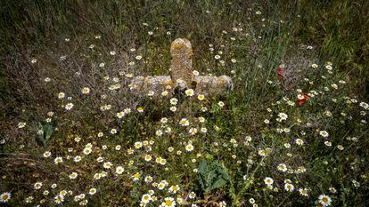 Los cementerios olvidados de Cataluña, en imágenes