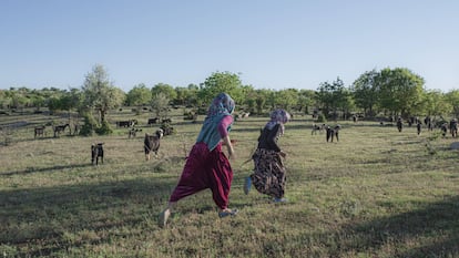 La vida itinerante de los yörüks de Turquía