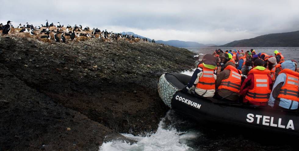 Pasajeros de una zodiac se acercan a una colonia de cormoranes en uno de los islotes Tucker (Tierra de Fuego, Chile).