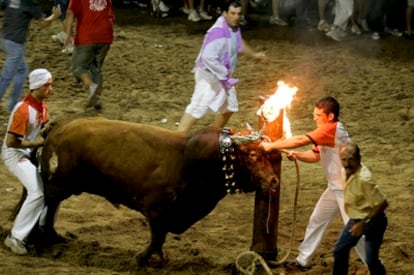 Celebración de bou embolat en la Plana Baixa de Castellón.