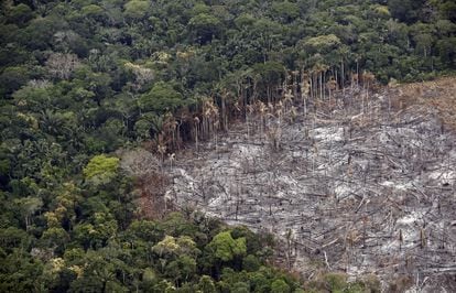 Terrenos deforestados en el Parque Nacional Natural Tinigua, en Colombia, en febrero de 2020.