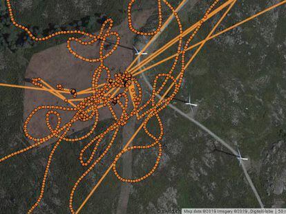 Imagen de satélite publicada por VCF y SEO en la que se representa el vuelo entre los aerogeneradores marcado por el transmisor de 'Carrascalinho'.