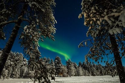 Papá Noel difícilmente habría podido buscar un rincón más bonito e idílico para su taller de regalos. Entre noviembre y marzo, el norte de Laponia dormita pacíficamente bajo una gruesa capa de nieve. Muchas noches, resplandece en lo alto la aurora boreal. Produce irisaciones verde-amarillas, rojas y violetas en el lienzo del cielo, repleto de estrellas. Lo mejor es reservar un iglú con techo de cristal. En la foto, la aurora boreal sobre un bosque de Nellim, en la Laponia finlandesa. <br></br> Más información: <a href="https://www.visitfinland.com/es/articulo/a-la-caza-de-la-aurora-boreal/" target="_blank">visitfinland.com</a>