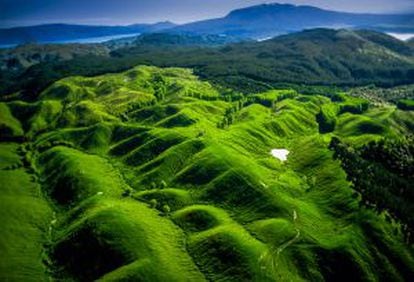 Colinas verdes cerca de Rotorua, en Nueva Zelanda.