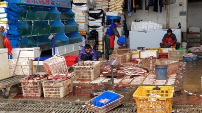 27-11-20.- Mercado de abastos de Wuhan. Foto: Macarena Vidal