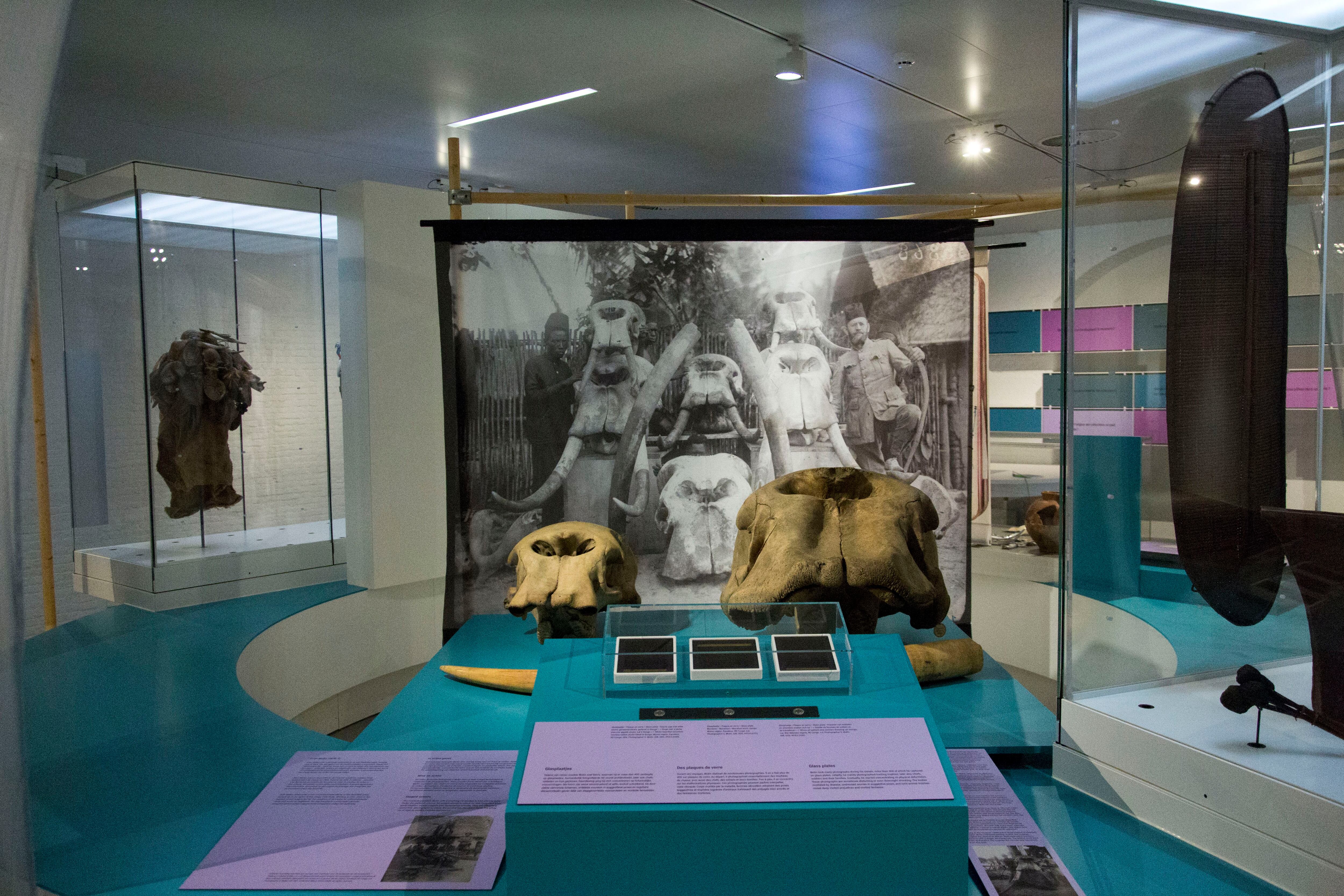 Bélgica da un paso más en la descolonización de sus museos y en la restitución del expolio