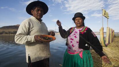 El lago Titicaca pierde sus peces