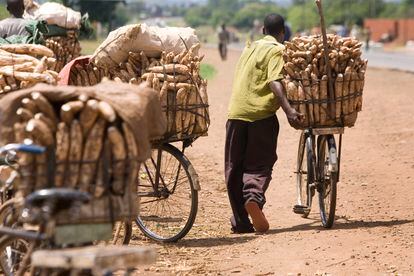 Un vendedor de yuca en Lilongwe, Malaui, en una foto de archivo.