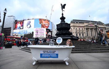 Faye Winter, conocida por 'realities' en la televisión británica, protesta pintada como una orca y tumbada en una bañera en Piccadilly Circus durante una protesta de PETA contra los parques de diversiones marinos en Londres, el viernes.

