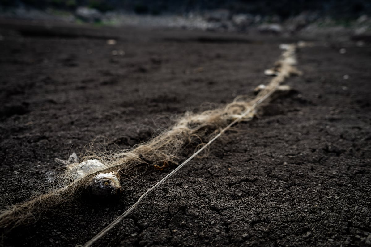 La muerte de una laguna en Hidalgo muestra el flagelo de la sobreexplotación y la crisis climática