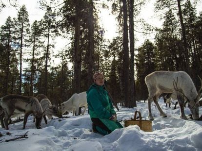 Anne Karhu-Angeli, pastora de renos de la cooperativa tradicional de Mudsjävri, en Inari, al norte de Laponia (Finlandia), el 10 de abril de 2019.