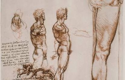 Dibujos de desnudos masculinos de Leonardo Da Vinci.