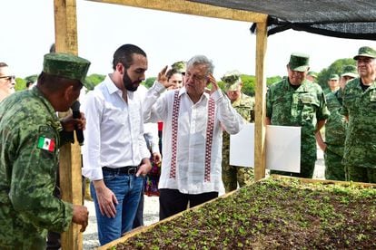 Andrés Manuel López Obrador y el presidente de El Salvador, Nayib Bukele, en la presentación del programa "Sembrando Vida" en Tapachula, Chiapas, en junio de 2019.