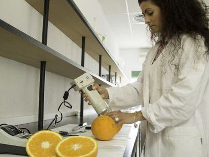 Una técnica del IFAPA del Centro Las Torres-Tomejil mide el color de una naranja.