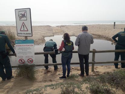 Agentes del Seprona toman muestras en la playa de Castelldefels el pasado jueves.