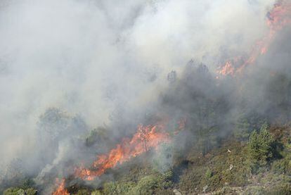 Las llamas arrasan un bosque en el Cañón del Sil, en la Ribeira Sacra lucense.