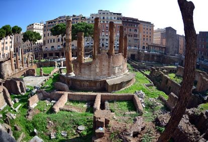 Imagen que muestra una vista general del Largo di Torre Argentina el 11 de octubre de 2012 en el centro de Roma. Es el lugar exacto entre las antiguas ruinas donde fue asesinado el general romano Julio César el 44 a.C. 