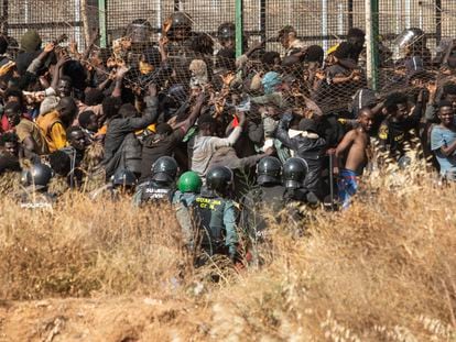 Decenas de migrantes intentaban el viernes cruzar la valla de Melilla e ingresar a Europa.