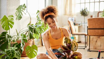 Ideas de regalos para el jardinero