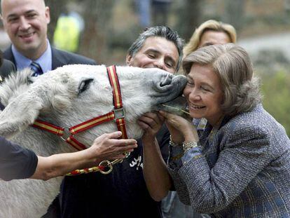 La reina Sofía en defensa del burro