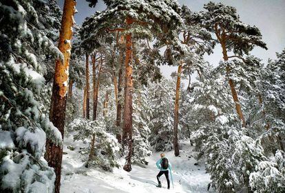 Ruta con raquetas de nieve en el Camino Schmid, en la localidad madrileña de Cercedilla.
