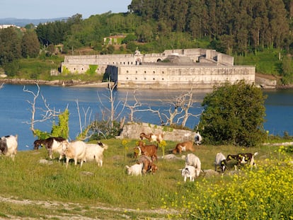 Vista del castillo de La Palma, en la ría de Ferrol (Galicia).