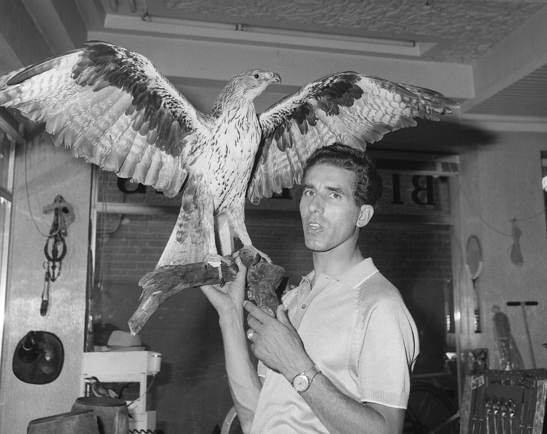 El ciclista posa con un águila disecada, en recuerdo de su mote 'El águila de Toledo', en el año 1967 en su tienda de deportes en Toledo.