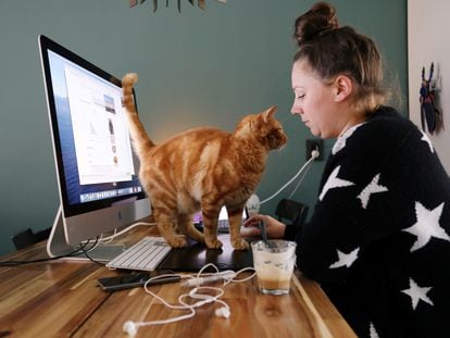 Una mujer trabaja desde casa en presencia de su gato.