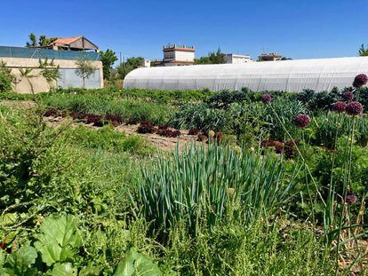 El navazo Cultivo Desterrado con su invernadero / Capel