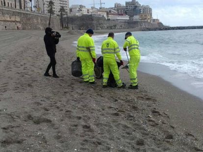 Trabajadores retiran medusas peligrosas de la playa de  Ceuta el pasado 15 de abril. 