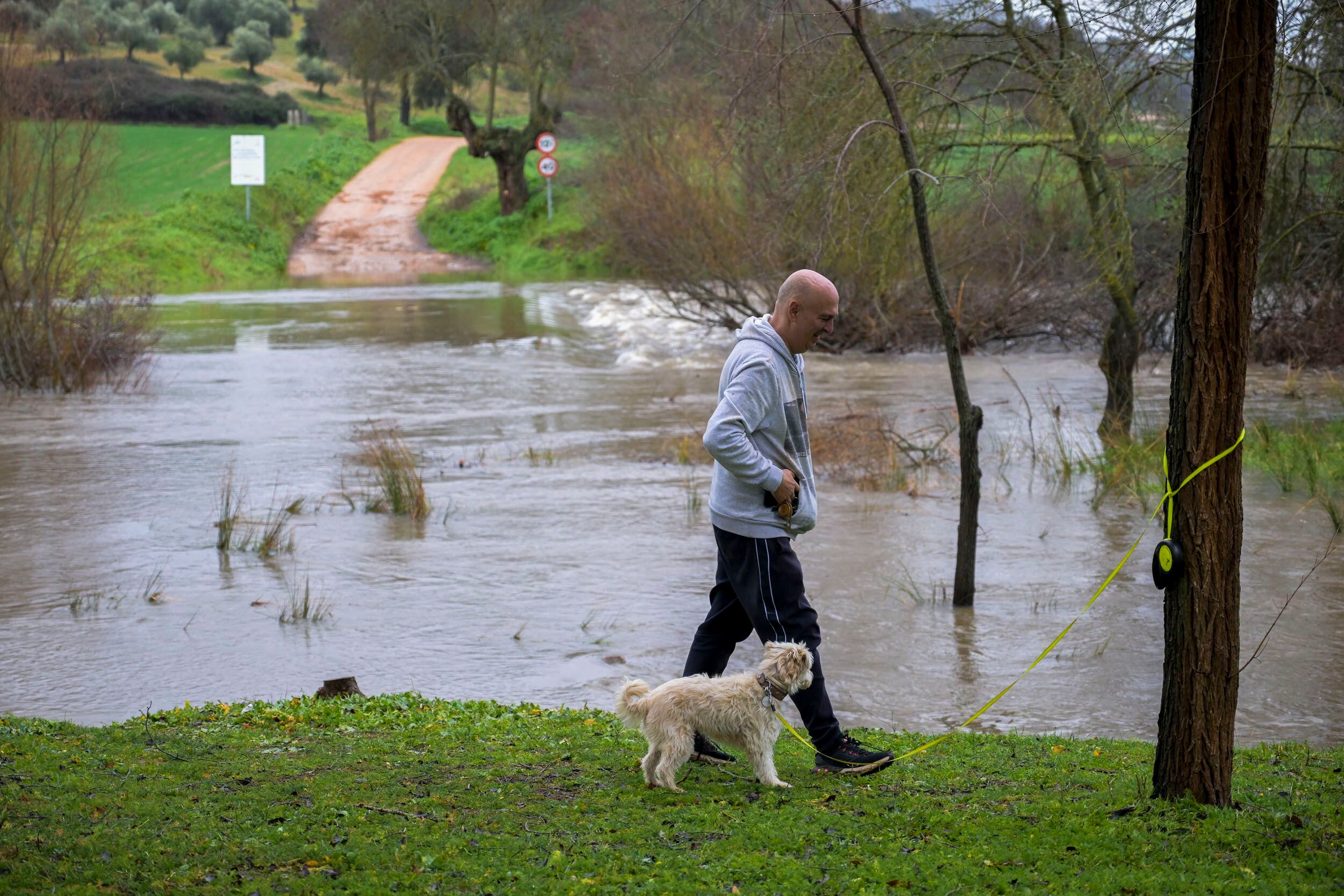 Un hombre camina junto a su perro junto a uno de los ríos de Luciana (Ciudad Real). 