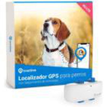 Localiza a tu fiel compañero: el collar con GPS para perros