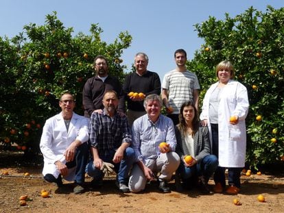 Equipo de Manuel Tal&oacute;n (de pie, en el centro) en el Instituto Valenciano de Investigaciones Agrarias.