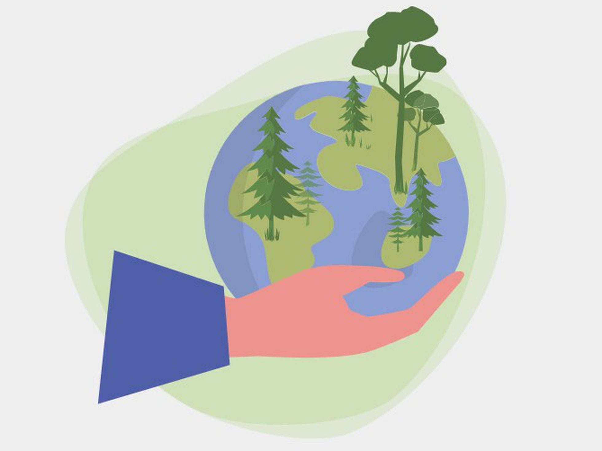 Bosques el modelo que salvará el planeta | Está en nuestras manos | | EL PAÍS