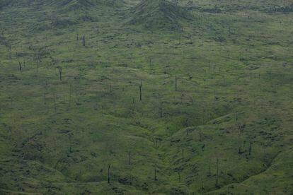 A recently deforested area is being transformed into a huge cattle ranch in the State of Maranhão, in the Brazilian Amazon.