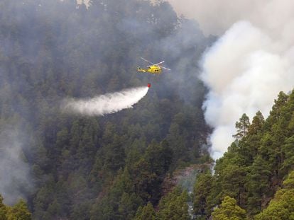 Incendio de isla de La Palma de hace unos días, en la zona del Parque Nacional de La Caldera de Taburiente, que volvió a reactivarse el viernes.