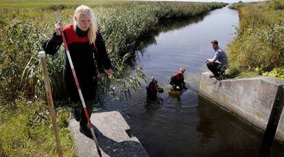 Búsqueda de restos de Kim Wall por la zona de Amager (Copenhague).