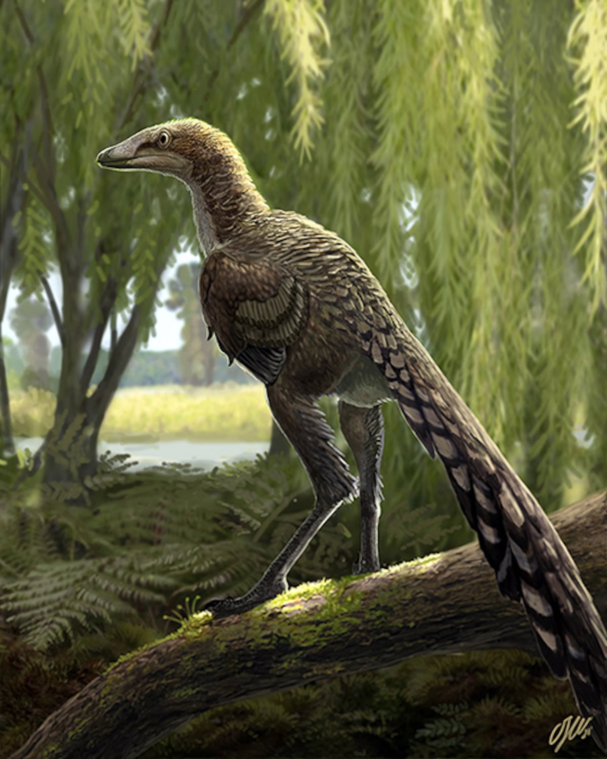 Tamarro insperatus': Identificado un nuevo dinosaurio carnívoro que vivió  en el Pirineo al final del cretáceo | Cataluña | EL PAÍS