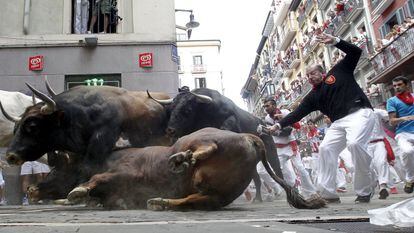 An El Tajo y La Reina ranch fighting bull falls to the ground as it takes the Mercaderes curve during the second running of the bulls of the San Fermin festival in Pamplona, northern Spain, July 8, 2015. One runner was gored in the run that lasted 2 minutes and 14 seconds, according to local media. REUTERS/Susana Vera      TPX IMAGES OF THE DAY     