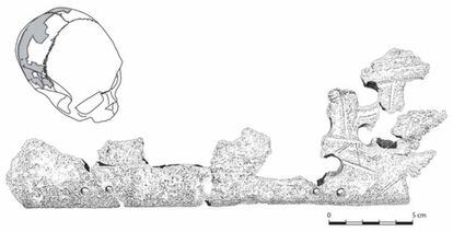 Otro fragmento del cráneo trofeo de Pacbitun.