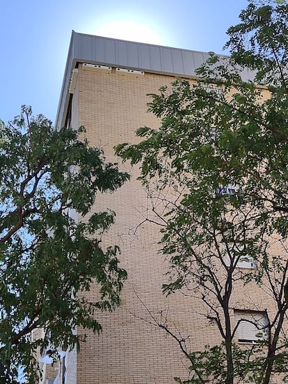 Algunos de los nidos colocados en la fachada de un bloque de Orcasitas.