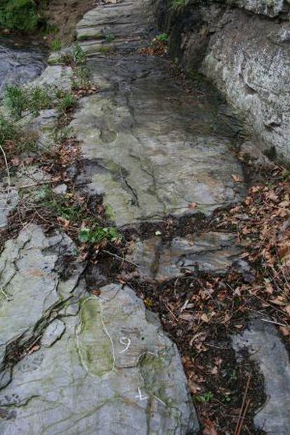 Sucesión de huellas humanas en el petroglifo de As Fádegas (Ribadeo). En el solsticio de verano resultan invisibles por la sombra que proyecta una roca.