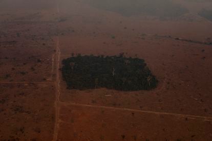 Una zona de selva quemada junto a un rancho ganadero en el Estado de Mato Grosso (Brasil).