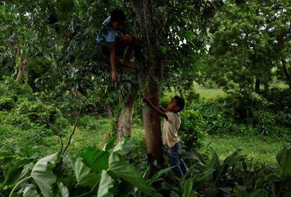 Los niños también conribuyen en las tareas del hogar. En la imagen. Arjun le pasa una hoz a su hermano mayor para cortar ramas con las que alimentar a las cabras.