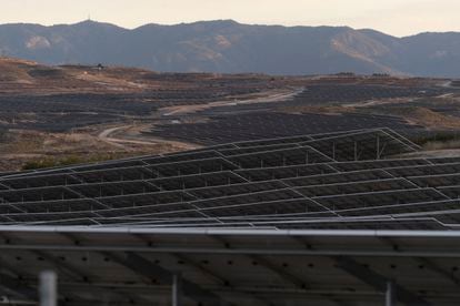 Paneles fotovoltaicos de la macrocentral de Mula, en Murcia.